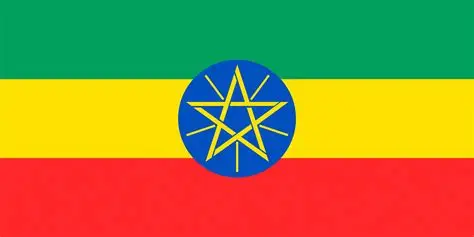 USMAN SEID MUHAMMED,  TEMKIN TEKA MOHAMMED,  TEMAM KEMAL GELGELU,  ATINAFU ABERA ADAMO,  YASUF TASEMMA FITA,  SHEYCHO KEDIR BARGICHO,  ABDUSEMAD HUSEN ADEM,  HAMBESE AMEDO SANI,  HUSEN ANSHA HASANO,